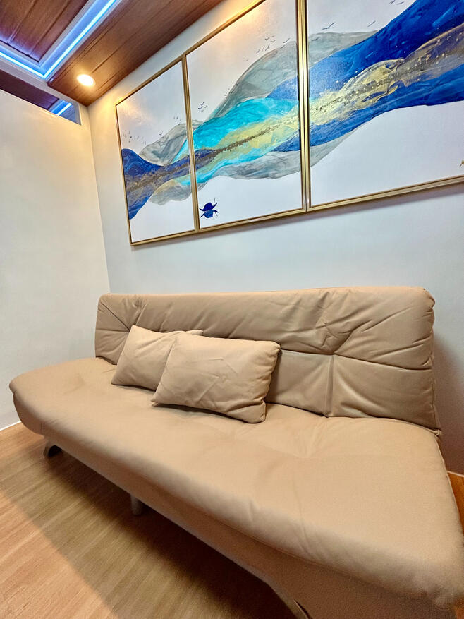 Sofa Bed